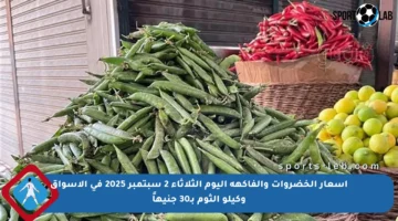 أسعار الخضروات والفاكهة اليوم الثلاثاء 2 سبتمبر 2025 في الأسواق وكيلو الثوم بـ30 جنيهاً